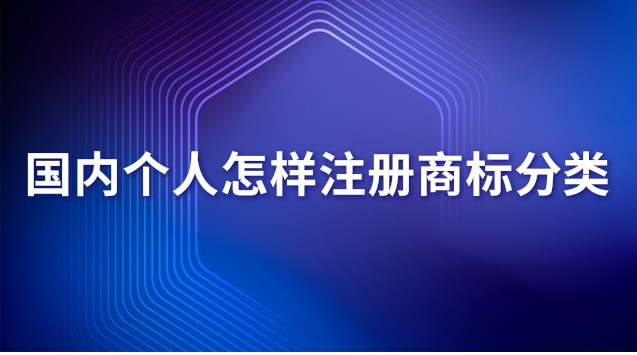 國(guó)內(nèi)個(gè)人怎樣注冊(cè)商標(biāo)分類(lèi)